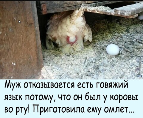 IMG 20220126 112308.jpg