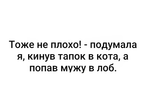 RLPBy6xJHfs-world11 spcs bio.jpg