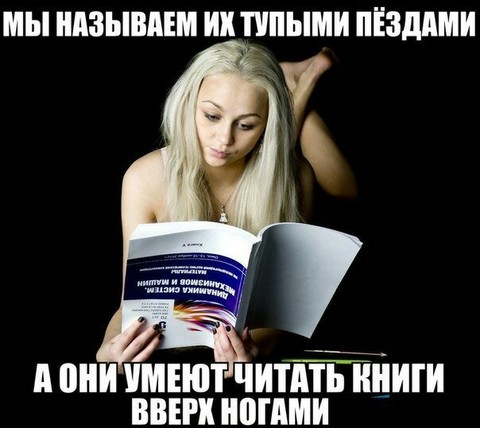 _t_945382_1.jpg