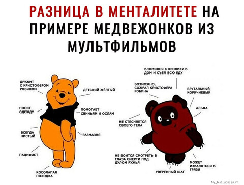 96D3817E3513C7E.jpg