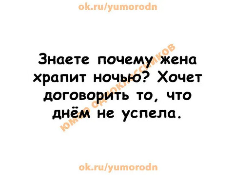 IMG 20230602 181424-world11 spcs bio.png