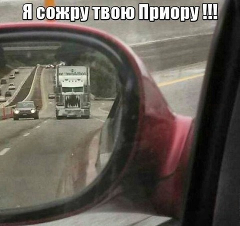 2890.jpg