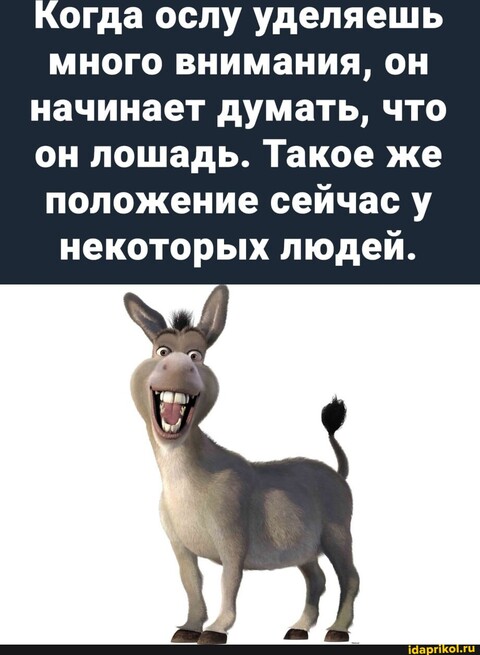 479848b5ab2e05ff17fb622fb58d4d994002654ff2c0393dca80562f2434c6a7 1 jpg.jpg