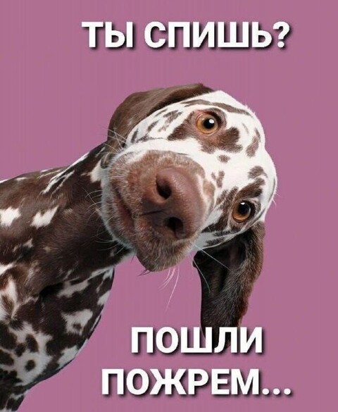 IMG-20240129-WA0000.jpg