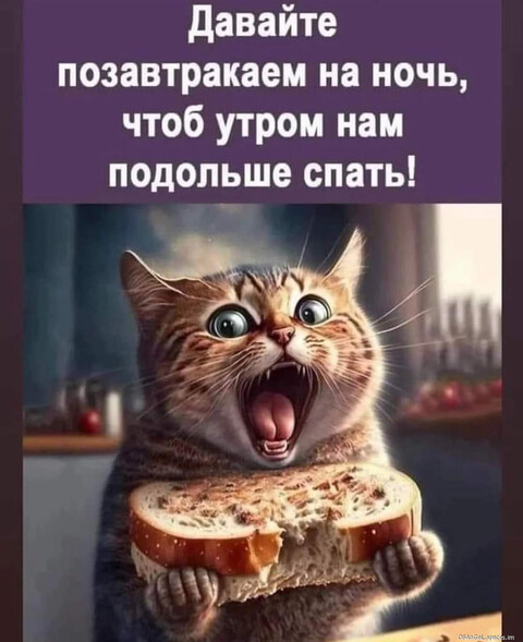 FB IMG 1700449342209-world52 spcs bio.jpg