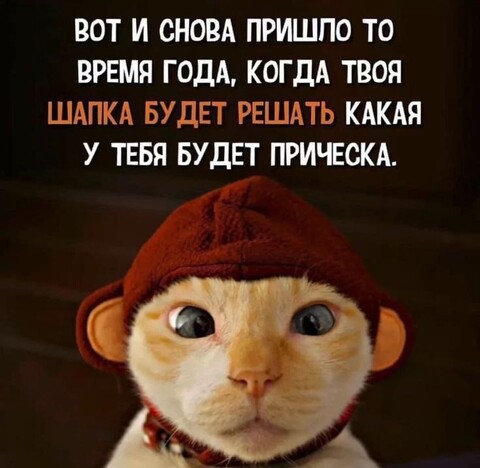 59512841-6c5d-49fb-b4af-e1ae89e03a87.jpg