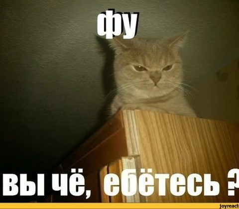 Фу.jpg