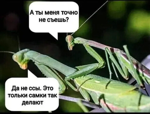 IMG 20211003 104125.jpg