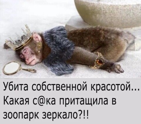 b737568bb7362f64632ef8256e813ff0.jpg