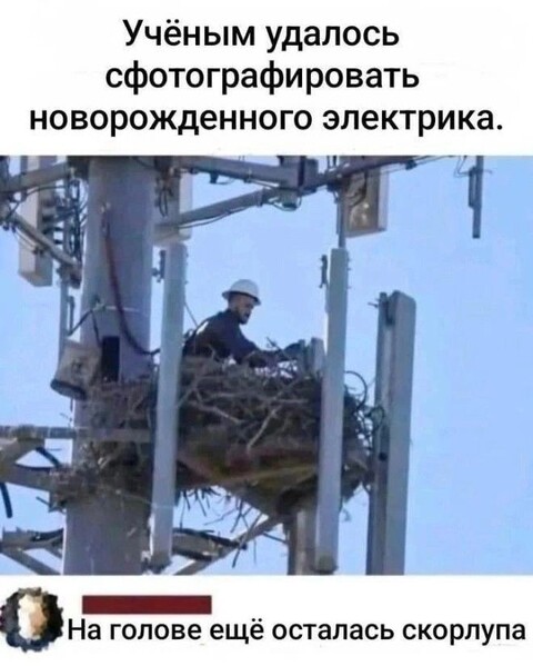 6865f259242fdf20fd196c4e1eade99b.jpg