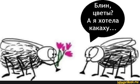 c6000453df0093c3d87f6618c99585fa4af225ec1529ec14c95e13f1c22b1ad1 1 jpg.jpg