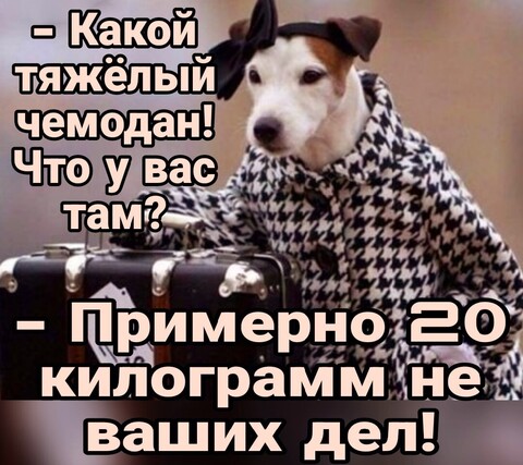 db4beafa-9cca-4b28-8a7f-94e33b1d09ff.jpg