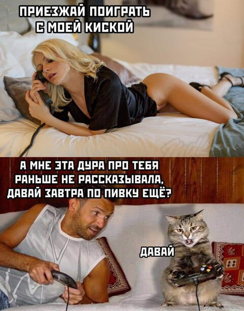 FB IMG 1696524667670-world39 spcs bio.jpg