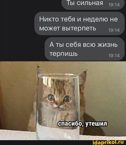 24246e73598f996dcac2aa112abc391764f52d17bfaff2e80908fa491ffcb0c4 1 jpg.jpg