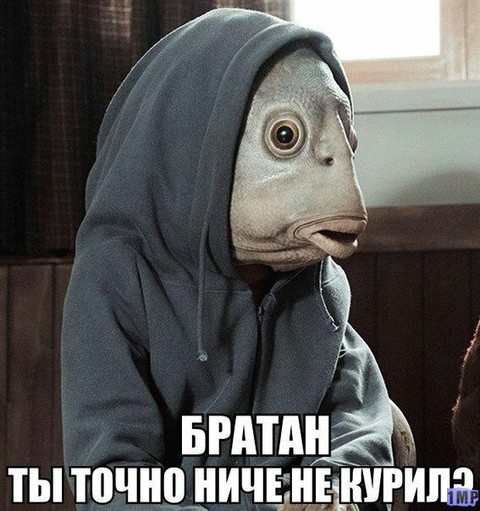 PRHPc.jpg