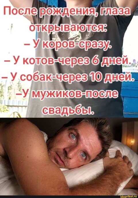 93 1 jpg.jpg