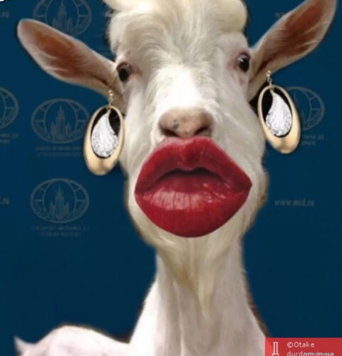 чёОо тОокАа в ОднУу СтАарАанУу.jpg