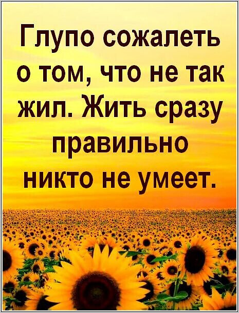 IMG 20240317 085455-world71 spcs bio.jpg