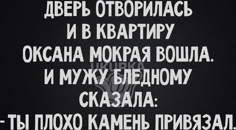 03c46fbd-81d6-4811-901e-5053b77cfe2f.jpg
