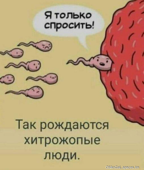 FB IMG 1698581178420-world47 spcs bio.jpg