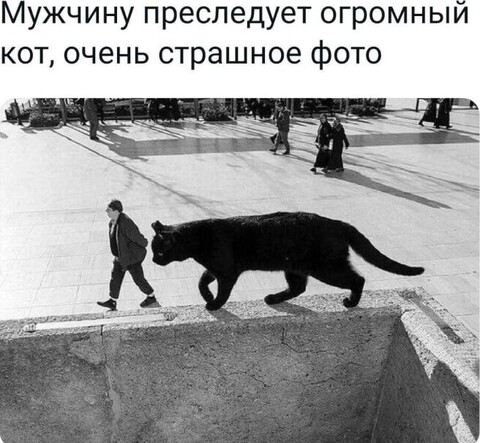 b8584dcf0d878ba91e04ea20ea3cdd6b90b896feeb3495667e1c424e851f35d0 1 jpg 1.jpg