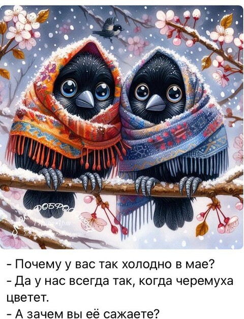 IMG-20240504-WA0000.jpg