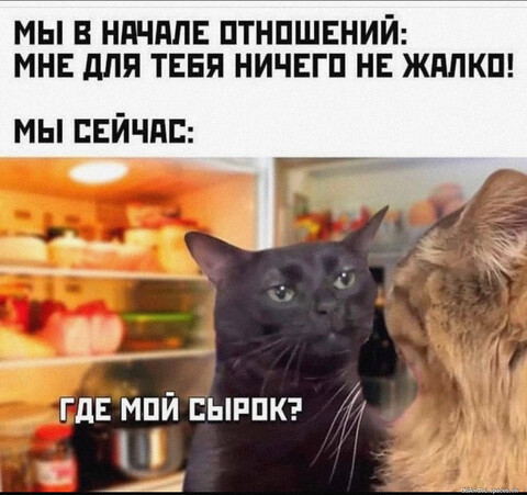 IMG 20231019 170036-world44 spcs bio.jpg