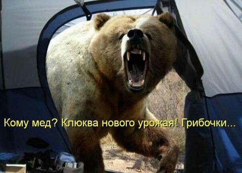 2708.jpg