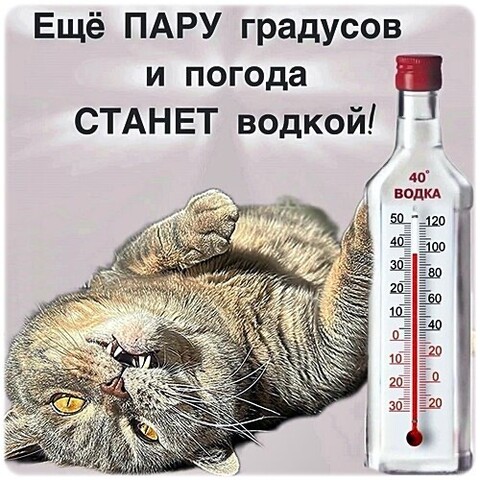 79606c4f-1001-40ae-9e6e-d6e7e90fe71b.jpg