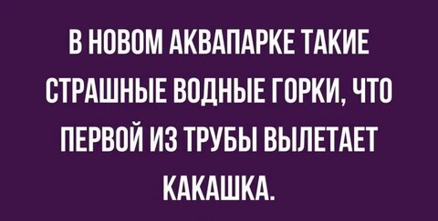 901ddd92-33f0-4558-bc81-92c8e049f8e2.jpg