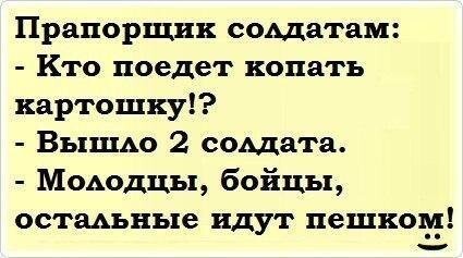 289926836 p 0 360 0.jpg