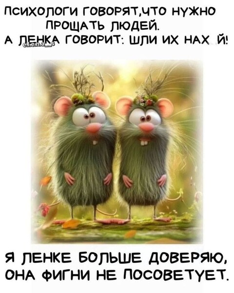 IMG-20250913-WA0001.jpg