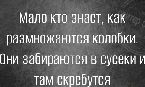 2729a80c-737d-49d3-8722-1fbe6bbcc1c0.jpg