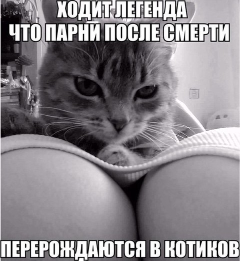 Ходит легенда.jpg