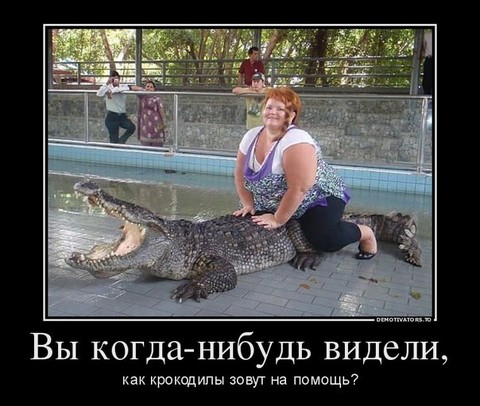 201462143280.jpg