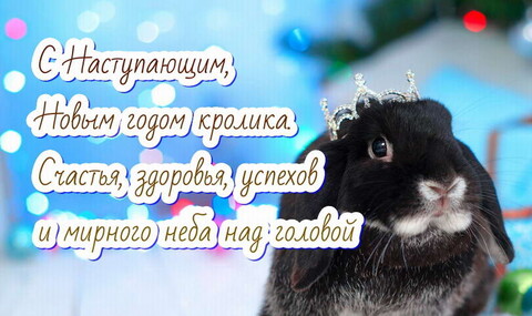 С наступающим годом кролика.jpg