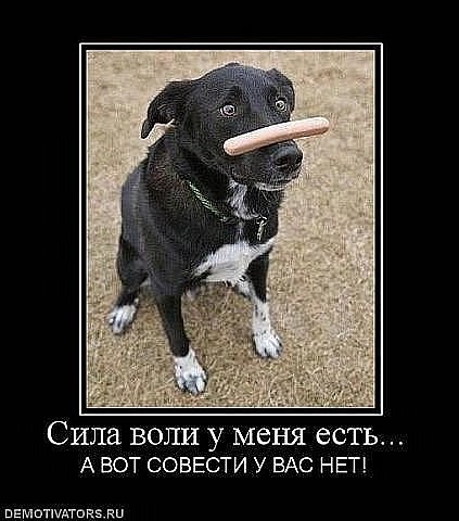 x_48163035.jpg