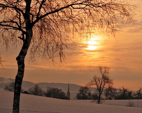 landscape-1661775282919-8586.jpg
