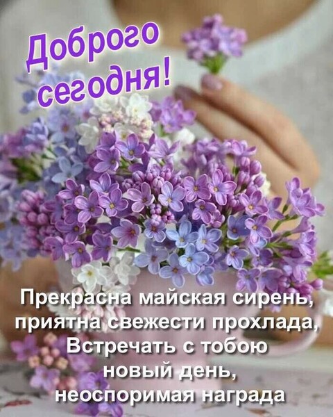 Доброго сегодня.jpg
