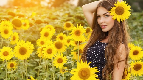 girl-field-sunflowers-4k-mz-3840x2160.jpg