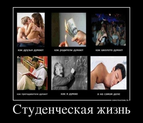 1338822529 demotivators 25.jpg