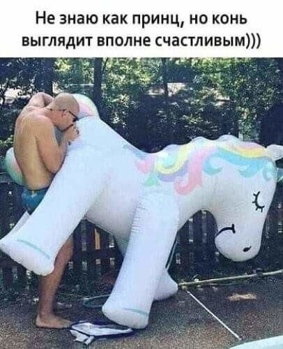 JYIG8284.jpg