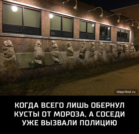 46788.jpg