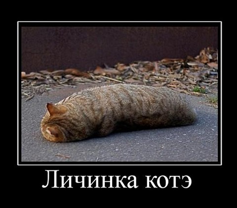 20180415 174641.jpg