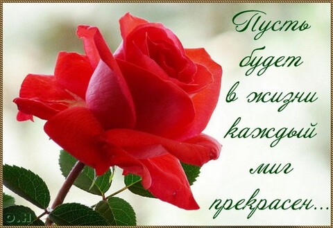 Пожелание.jpg