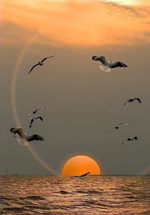 9bcbbafedaa12edef96808cfc7cd2d9b.jpg