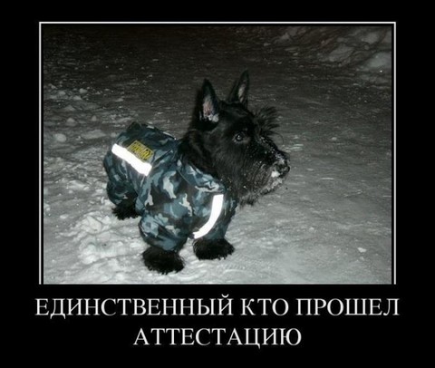 1335872214 demotivators 05.jpg
