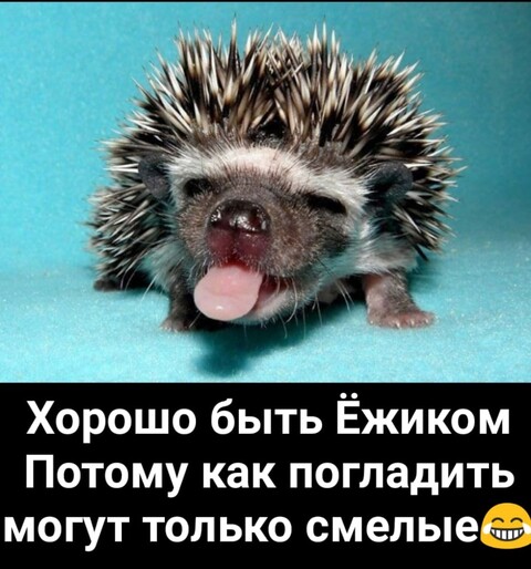 1606107375704.jpg