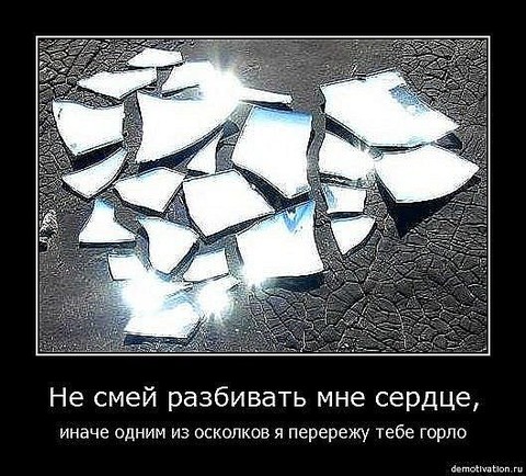 x_0e4580a5.jpg