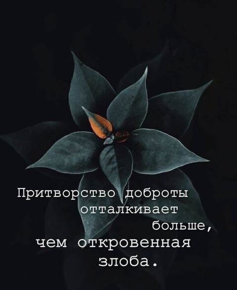 252b0ea7149a789829387248b314fb9f.jpg